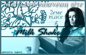 Meilleure nouveau site: 2me place